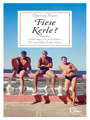 cover image of Fiese Kerle?